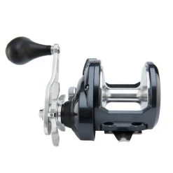 Shimano Torium HG Conventional Reels -Fishing Paradise 062502c44f0c842cc69cf575a99a940b8aa9e49a