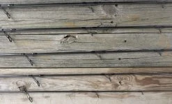 ODM 2021 Genesis Surf Rods -Fishing Paradise 2021 Genesis TopSection edited