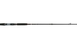 Jigging World Nexus Casting Rods -Fishing Paradise 380A9142