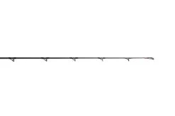 Jigging World Nexus Casting Rods -Fishing Paradise 380A9152