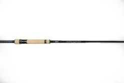 Jigging World Night Ranger Spinning Rods -Fishing Paradise 380A9187