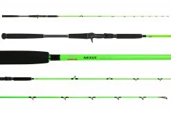 Jigging World Nexus Limited Edition Color Casting Rods -Fishing Paradise 701C H G 35285.1593181272.1280.1280