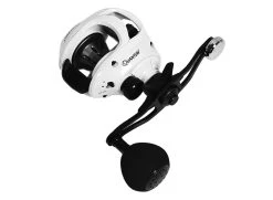 Quantum 2020 Accurist Baitcasting Reels -Fishing Paradise Accurist Nexus wh