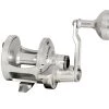 Accurate Boss Valiant Lever Drag Reels -Fishing Paradise BV 500 1