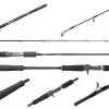 Jigging World Black Widow Casting Rods -Fishing Paradise Black Widow Casting 76092.1587618121