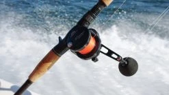 Jigging World Micro Jigging Lever Drag Reels -Fishing Paradise DSC01615 55399.1575566665.1280.1280