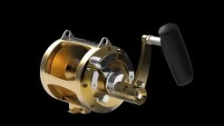 Avet EXW 50/2 2-Speed Lever Drag Reels -Fishing Paradise EXW502 FRONT GOLD