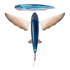 Nomad Design Slipstream Flying Fish Lures -Fishing Paradise FF OC Oceanic