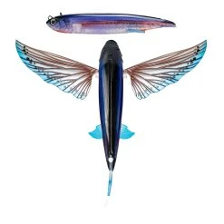 Nomad Design Slipstream Flying Fish Lures -Fishing Paradise FF ULS Ulysses