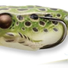 Live Target Hollow Body Frogs -Fishing Paradise FGH 55T 500 ICAST 260x 1