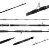 Jigging World Ghost Hunter Advantage Casting Rods 2 Jigging World Ghost Hunter Advantage Casting Rods -Fishing Paradise GHA CASTING 79989.1587612675