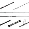 Jigging World Luminous Popping Spinning Rods -Fishing Paradise Luminous Pop