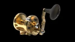 Avet MXL G2 MC Single Speed Lever Drag Reels -Fishing Paradise MXL5.8 G2 FRONT WITHOUT GLIDE PLATE GOLD c408f3c6 0efc 4d1c 92ca 1c4bce8638ea