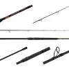 Jigging World Nexus Surf Spinning Rods -Fishing Paradise Nexus Surf
