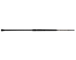 Jigging World Nexus Surf Spinning Rods -Fishing Paradise Nexus Surf Bottom