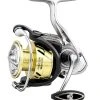 Daiwa Procyon LT Spinning Reels 1 Daiwa Procyon LT Spinning Reels -Fishing Paradise PCNLT3000DCXH 1000x 7894b236 454e 4ff6 a538 16227e9ee89a