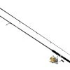 Daiwa Revros LT Spinning Combos -Fishing Paradise REVLT404BZG862M NOCOLOR SDE alt1
