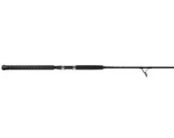 Jigging World Raptor Spinning Rods -Fishing Paradise Raptor Spin Bottom