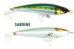 Jigging World Magic Tail Sinking Stick Baits 11 Jigging World Magic Tail Sinking Stick Baits -Fishing Paradise SARDINE S 94207.1498506889.1280.1280