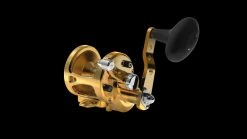 Avet SX G2 Single Speed Lever Drag Reels (Non-MC) -Fishing Paradise SX5.3 G2 FRONT WITHOUT GLIDE PLATE GOLD