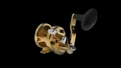 Avet SXJ G2 Single Speed Lever Drag Reels -Fishing Paradise SXJ53 G2 FRONT WITHOUT GLIDE PLATE GOLD