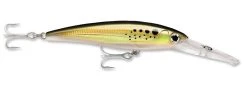 Rapala X-Rap Magnum Trolling Lures -Fishing Paradise bunker 8694403a 25a8 40ca 8354 38a203fe44a0